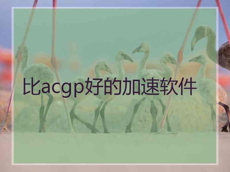 比acgp好的加速软件