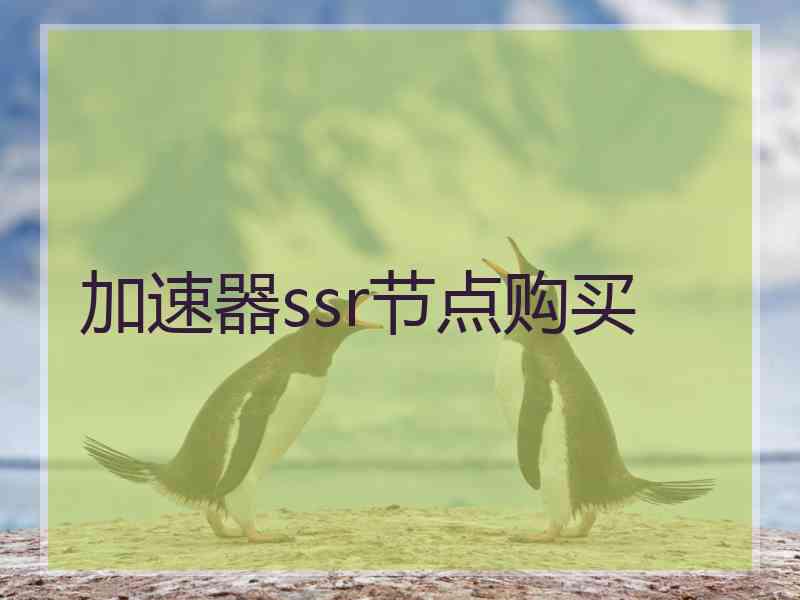 加速器ssr节点购买