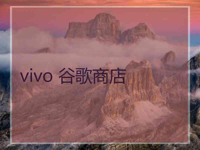 vivo 谷歌商店