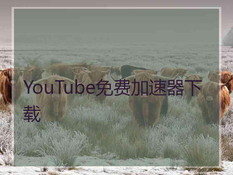 YouTube免费加速器下载