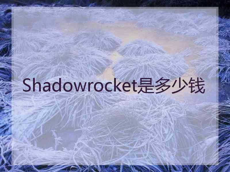 Shadowrocket是多少钱