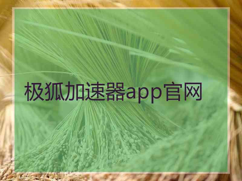 极狐加速器app官网