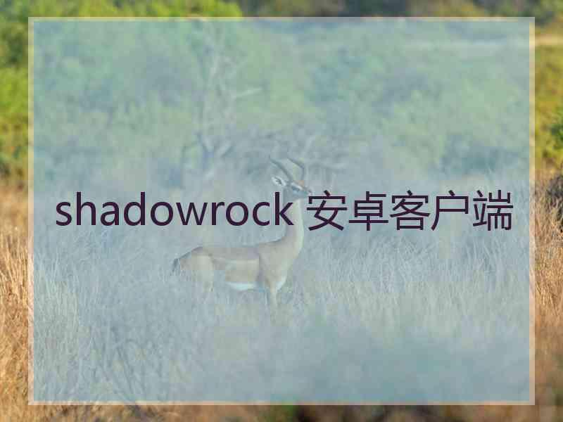 shadowrock 安卓客户端