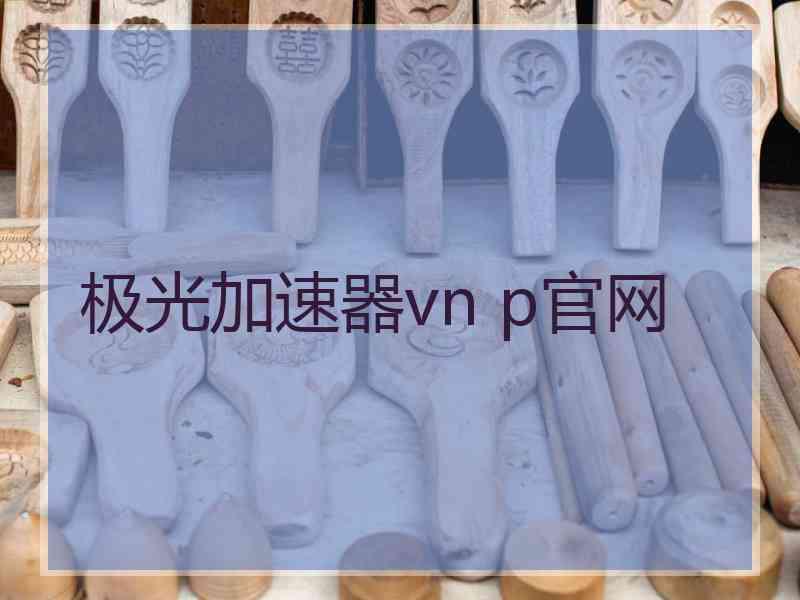 极光加速器vn p官网