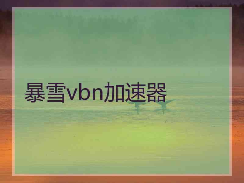 暴雪vbn加速器