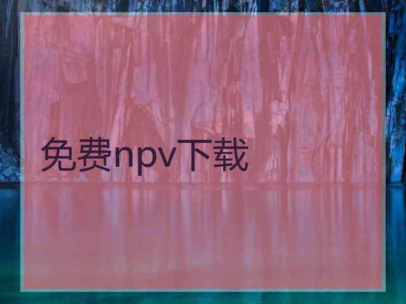 免费npv下载