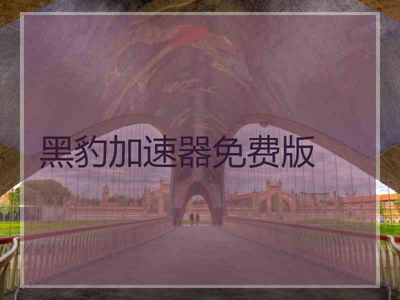 黑豹加速器免费版