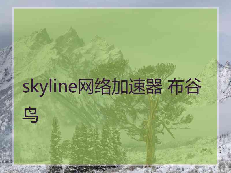 skyline网络加速器 布谷鸟