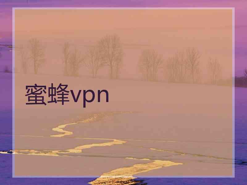 蜜蜂vpn