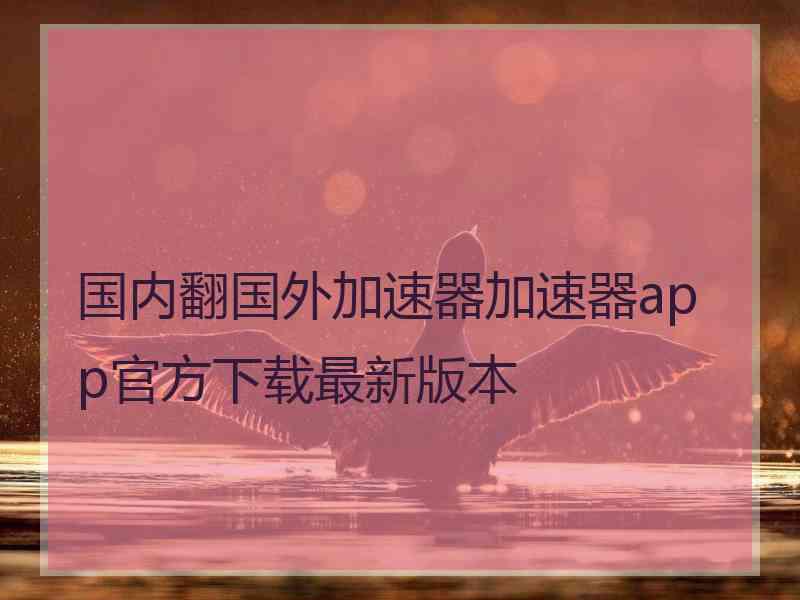 国内翻国外加速器加速器app官方下载最新版本