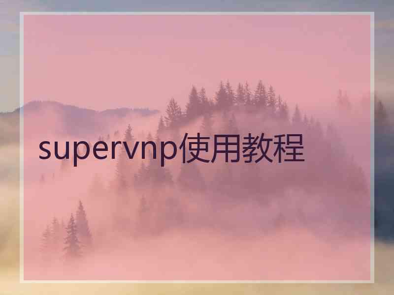 supervnp使用教程