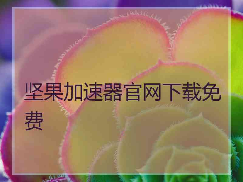 坚果加速器官网下载免费