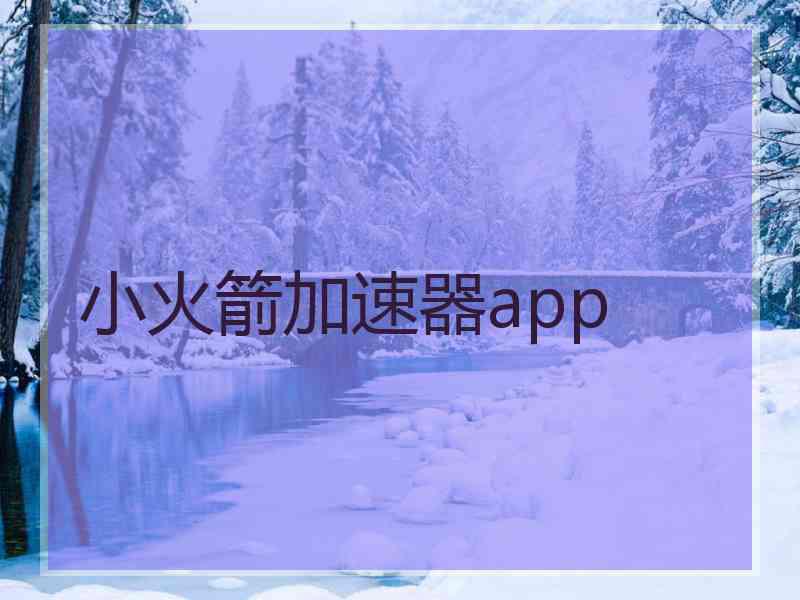 小火箭加速器app