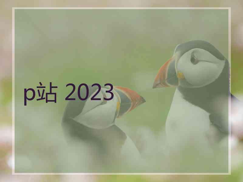 p站 2023