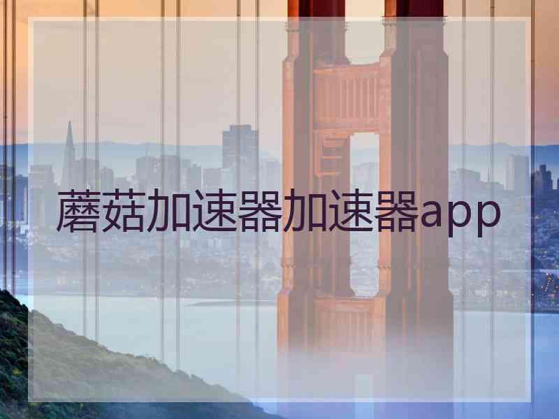 蘑菇加速器加速器app