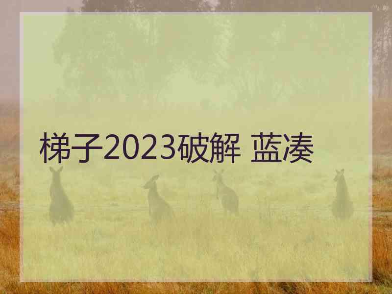 梯子2023破解 蓝凑