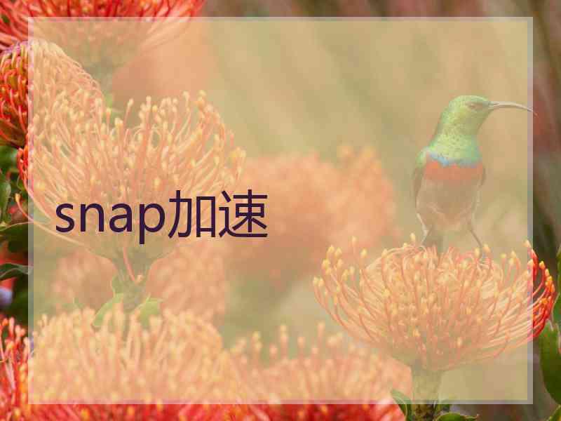 snap加速