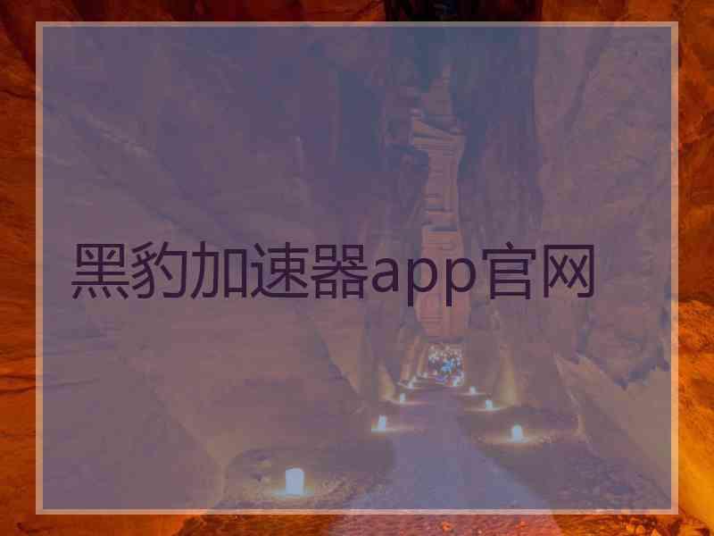 黑豹加速器app官网