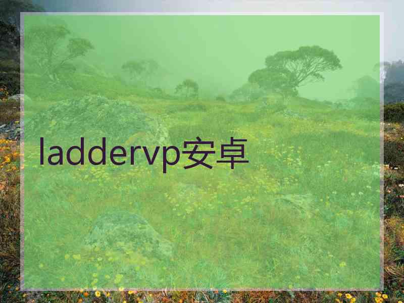 laddervp安卓