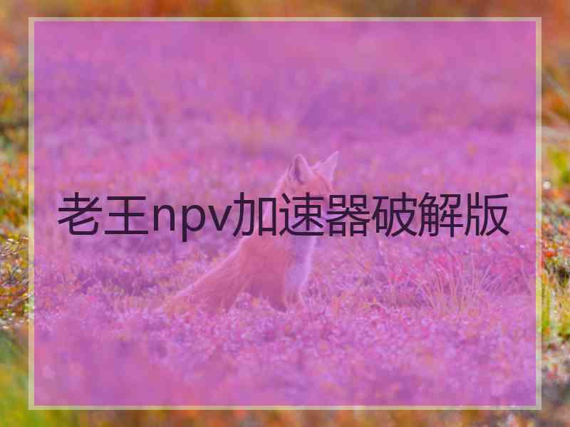 老王npv加速器破解版