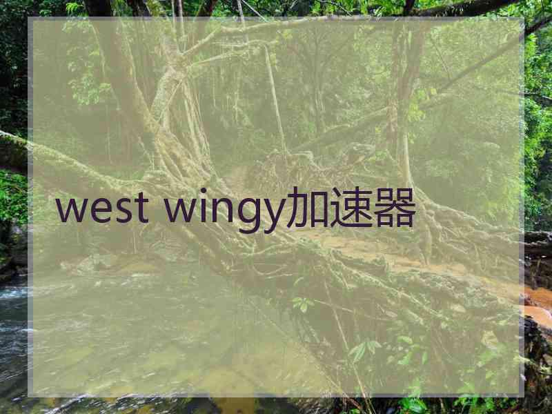 west wingy加速器