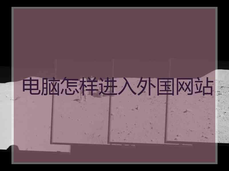 电脑怎样进入外国网站