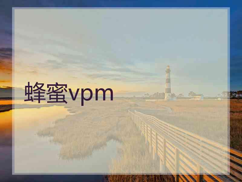 蜂蜜vpm