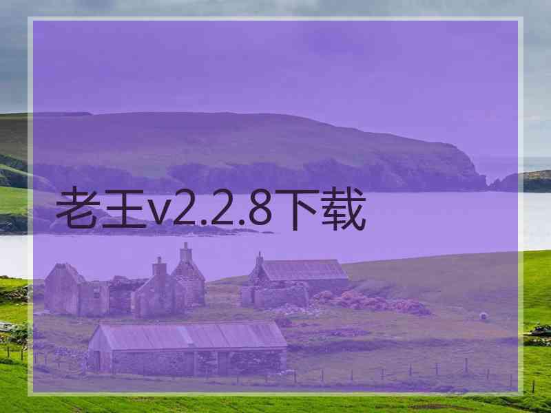 老王v2.2.8下载