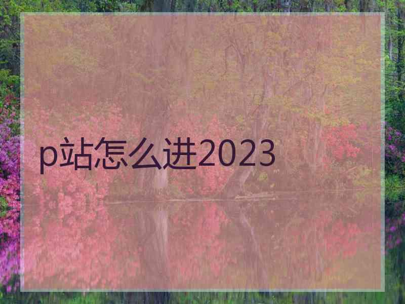 p站怎么进2023