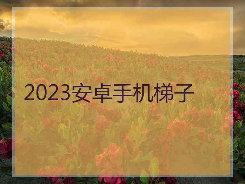 2023安卓手机梯子