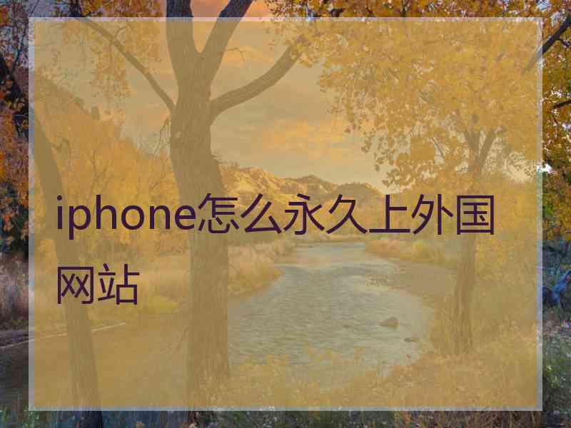 iphone怎么永久上外国网站