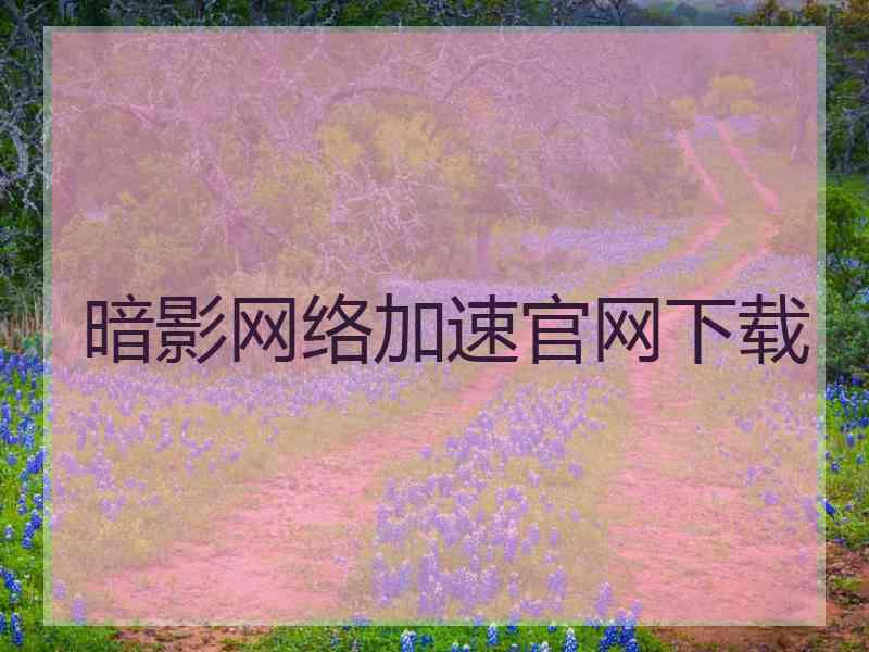 暗影网络加速官网下载