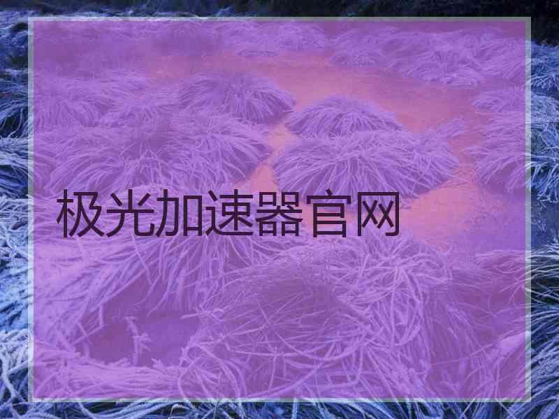 极光加速器官网