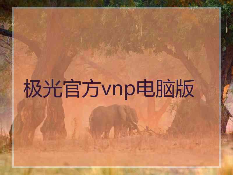 极光官方vnp电脑版