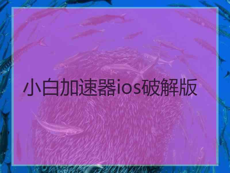 小白加速器ios破解版