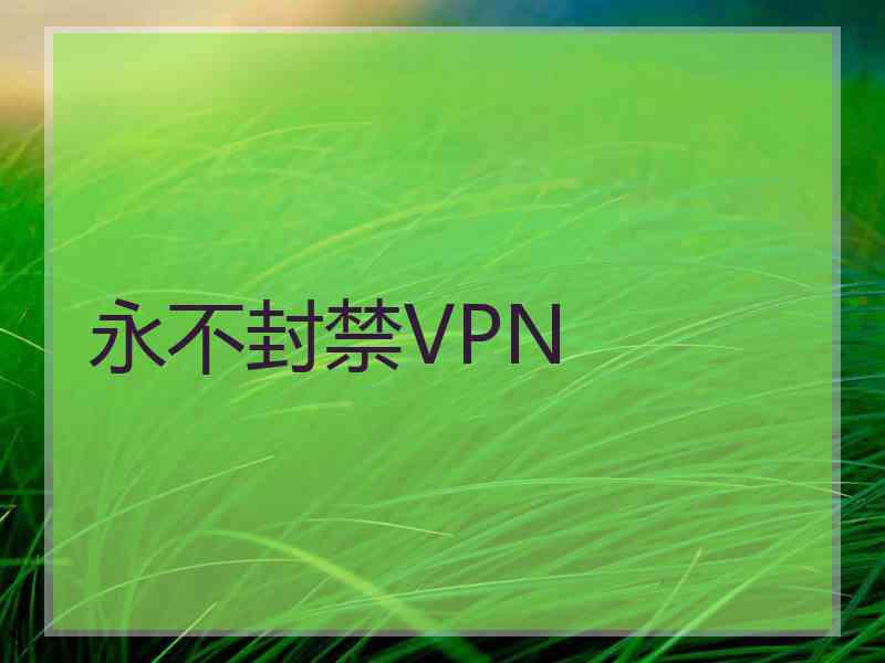 永不封禁VPN