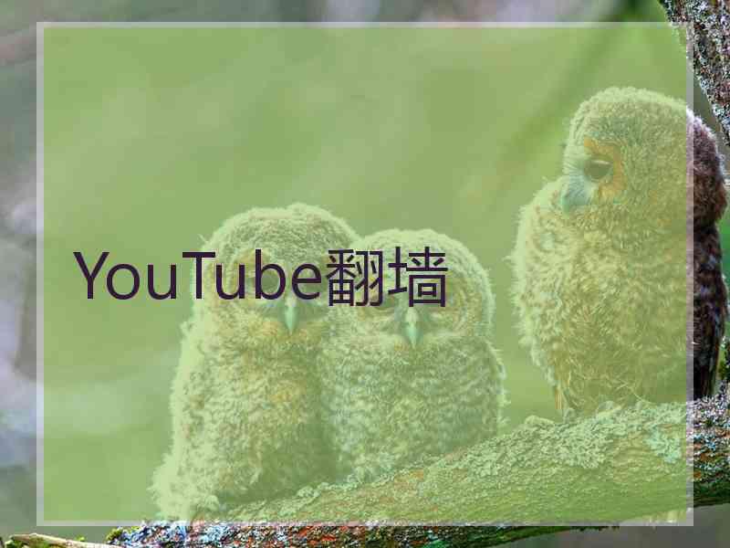 YouTube翻墙