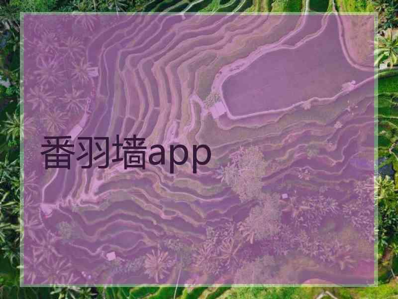 番羽墙app