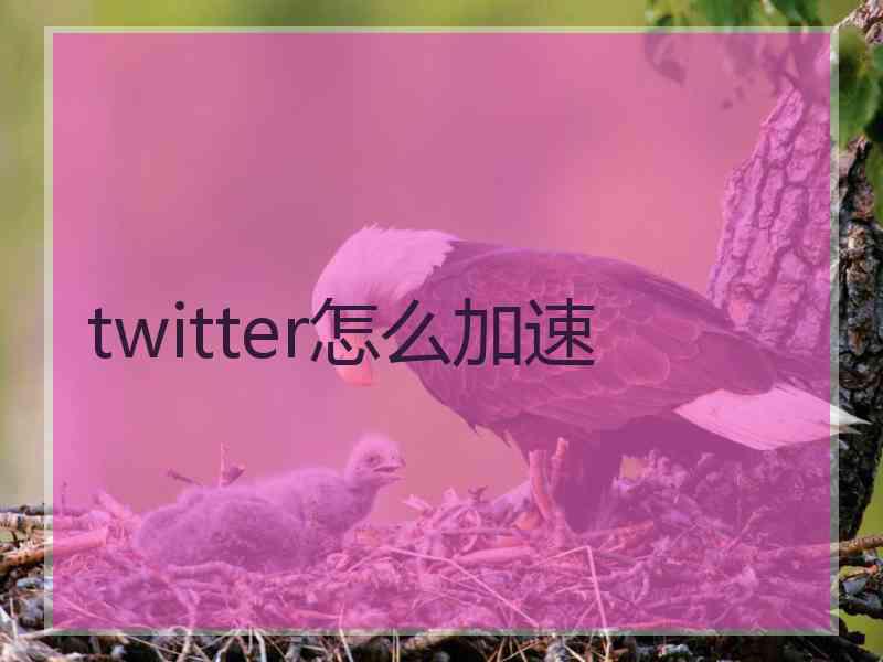 twitter怎么加速