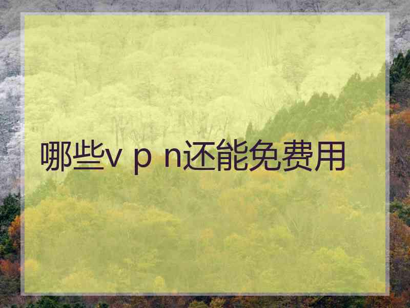 哪些v p n还能免费用