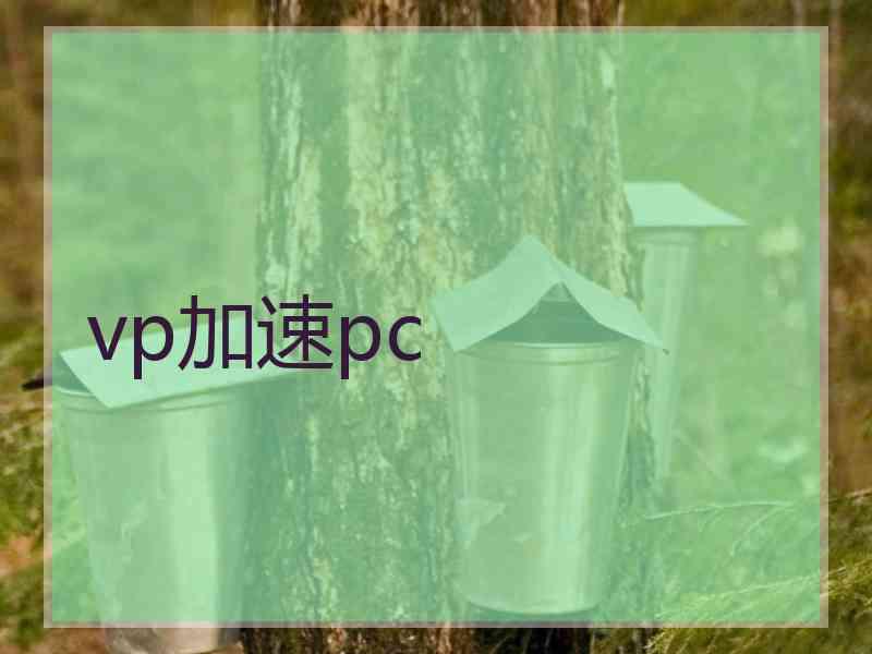 vp加速pc