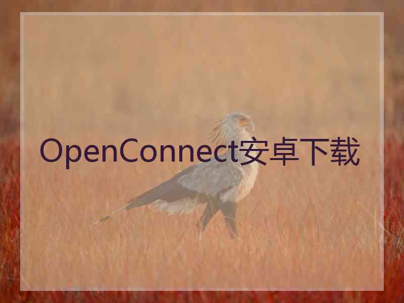 OpenConnect安卓下载