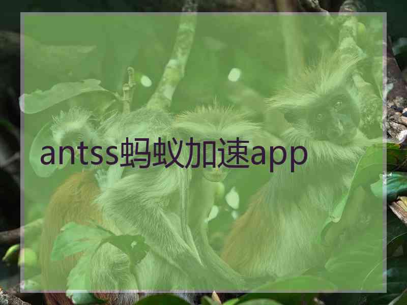 antss蚂蚁加速app