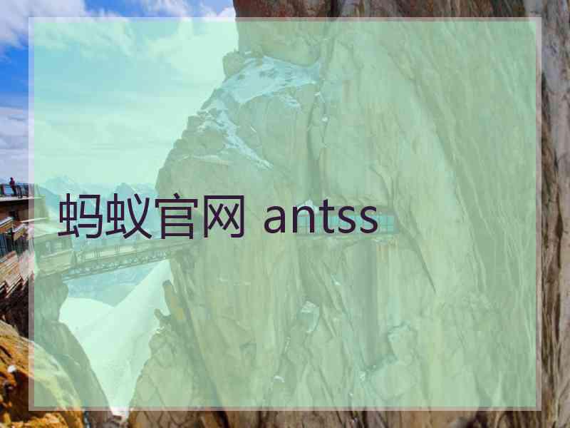 蚂蚁官网 antss