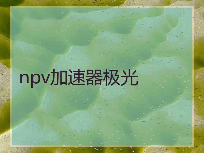 npv加速器极光