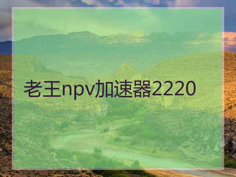 老王npv加速器2220