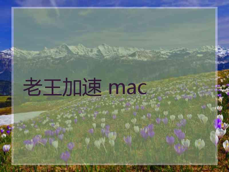 老王加速 mac