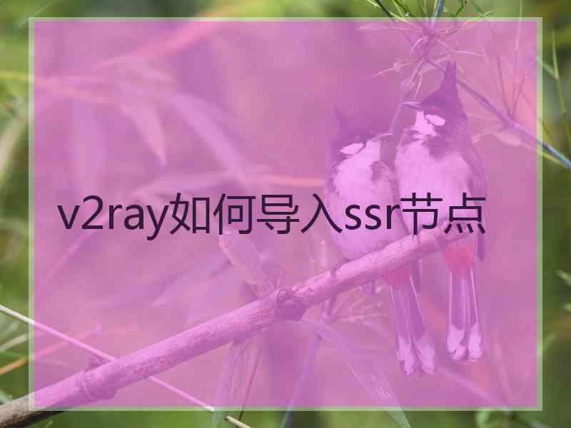 v2ray如何导入ssr节点