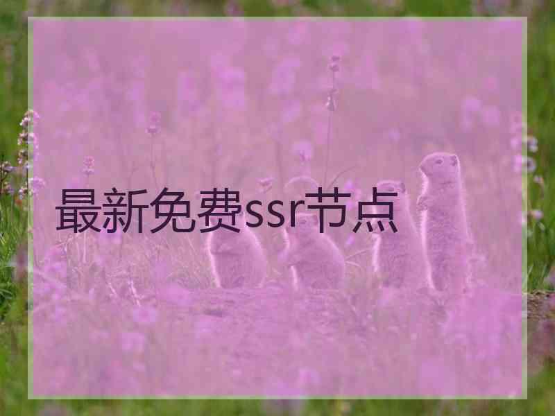 最新免费ssr节点