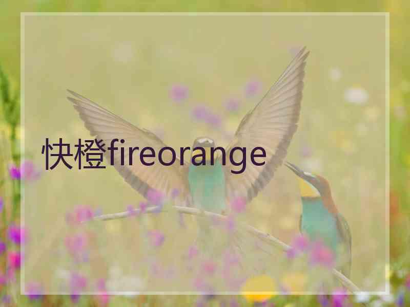 快橙fireorange